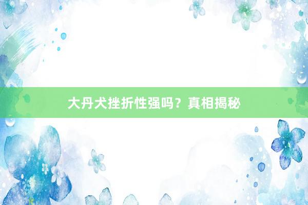 大丹犬挫折性强吗？真相揭秘