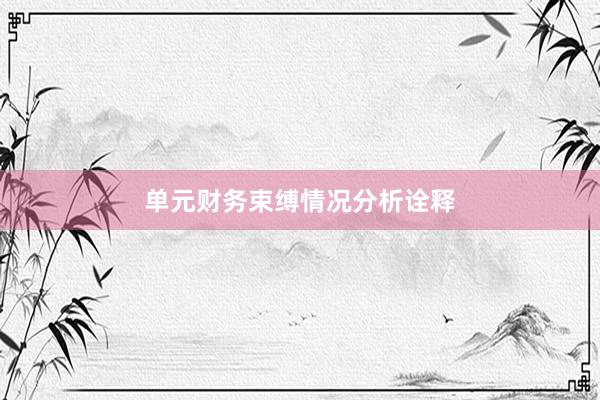 单元财务束缚情况分析诠释